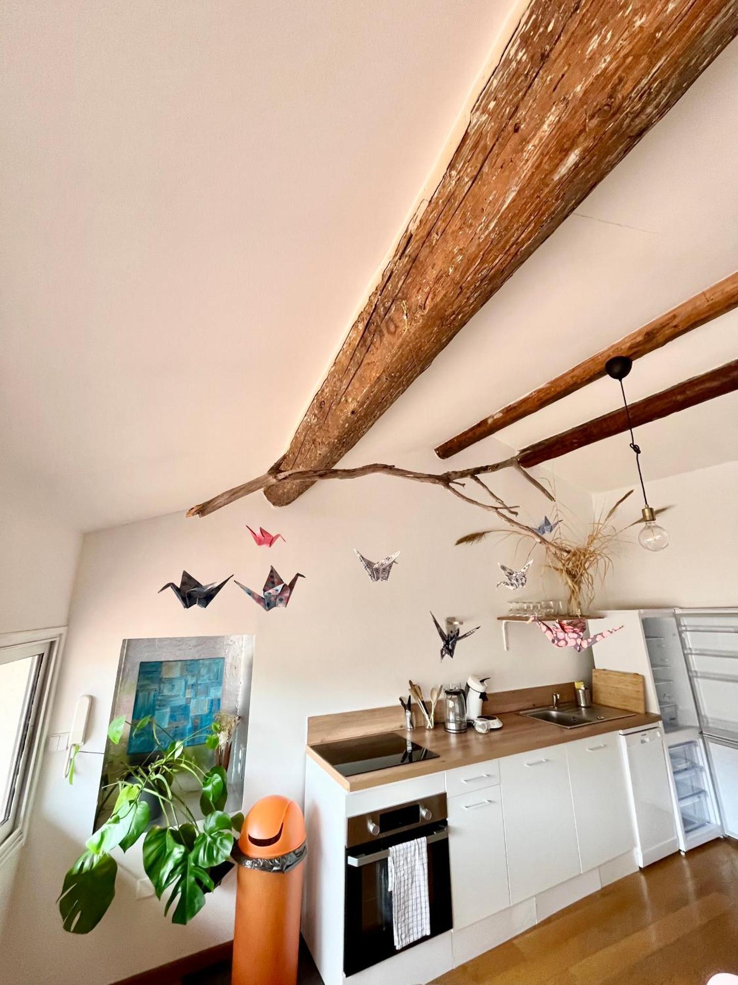 A Spacious, Sunny & Calm Loft In Avignon'S Heart Zewnętrze zdjęcie